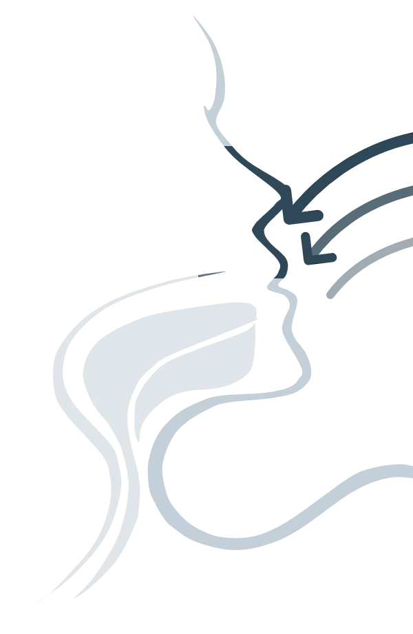 Diagrama de perfil de la respiración nasal
